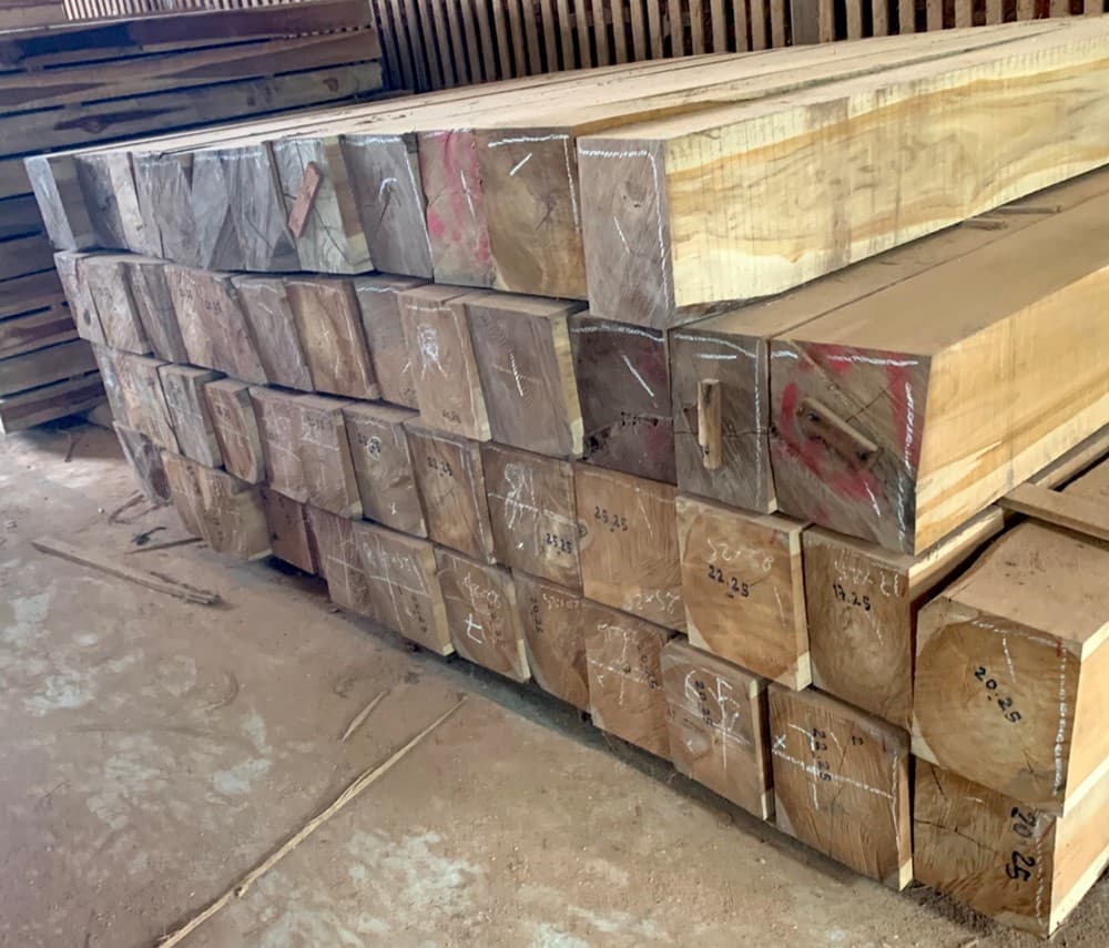 Distribution Activity